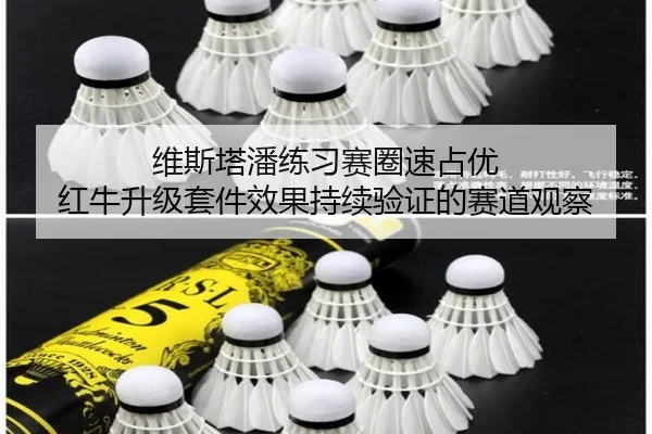 维斯塔潘练习赛圈速占优 红牛升级套件效果持续验证的赛道观察
