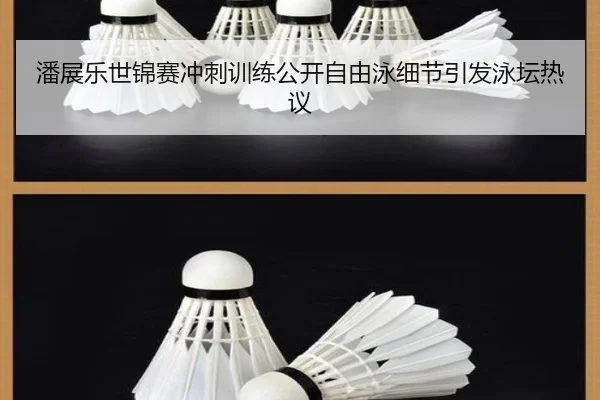 潘展乐世锦赛冲刺训练公开自由泳细节引发泳坛热议