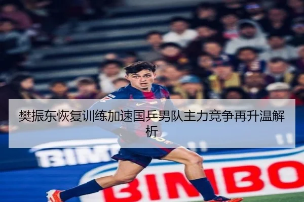 樊振东恢复训练加速国乒男队主力竞争再升温解析